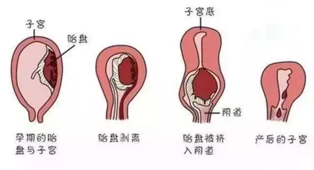 微信图片_20190729185526.png